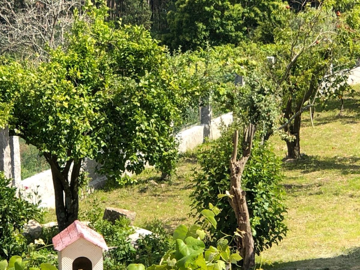 Affittacamere Casa Estrella Tebra Esterno foto