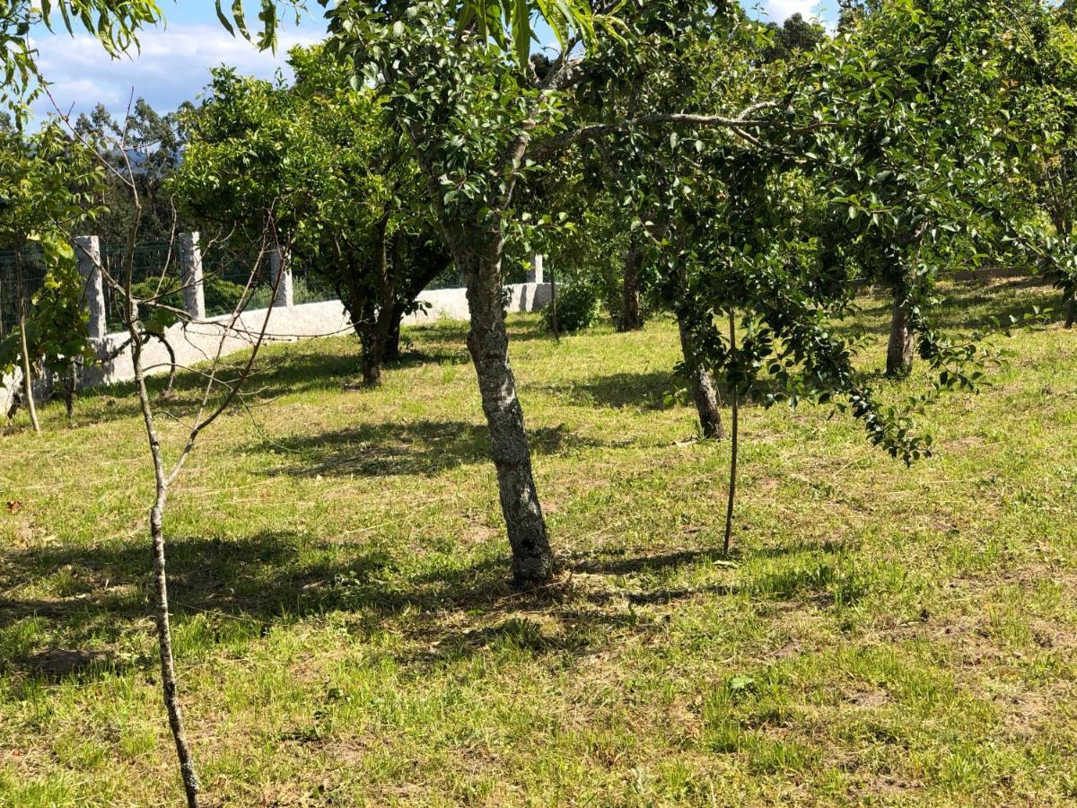 Affittacamere Casa Estrella Tebra Esterno foto